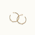 Pussy Power Hoops (MIEM)